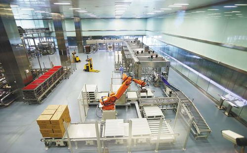 碧桂園跨界布局，機器人公司與智能工廠共繪智造新藍圖